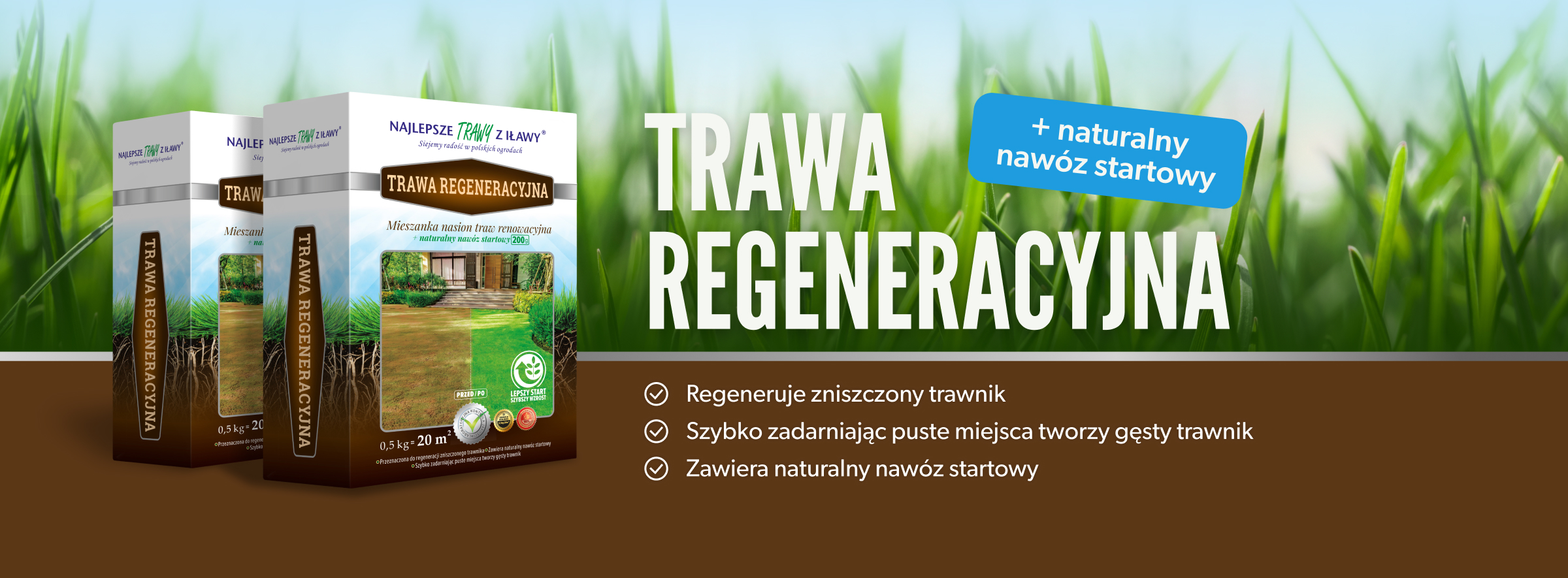 regeneracyjna-top-poziom.jpg